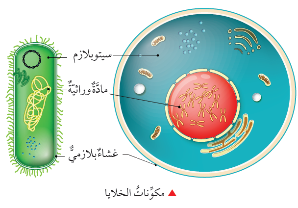 مكونات الخلايا